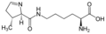 L-پيروليسين (Pyl / O)