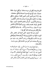 الصفحة التالية &larr;