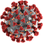 2019-nCoV-CDC-23312 without background.png