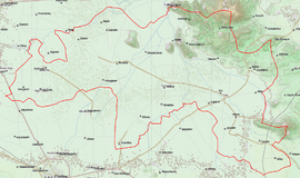 Dimos Palama Topo.png