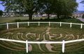 Turf maze at Wing in Rutland, UK.