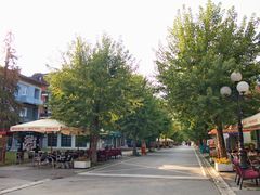 ممشى وسط البلدة