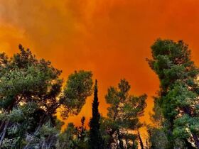 حرائق جبال القدس6.jpeg