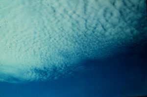 Cirrocumulus at the top of the image