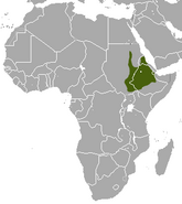 خريطة النطاق