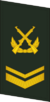 PLAGF-Collar-0705-SSG.png