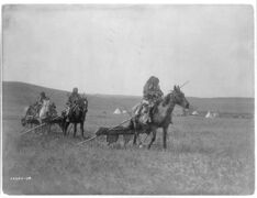 Gros Ventre (Atsina) American Indians moving camps with travois for transporting skin lodges and belongings.