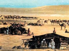 شتـِفي گراف