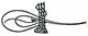 Tughra of Murad III