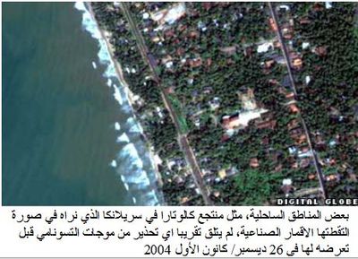 تكون التسونامي5.JPG