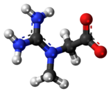 Ball and stick model of creatine