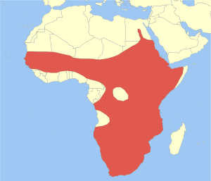 Alopochen aegyptiaca map.svg