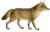 Dogs, jackals, wolves, and foxes (Plate X).png