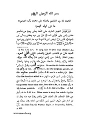 الصفحة التالية &larr;