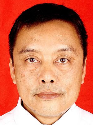 Danny Hilman Natawidjaja LIPI.jpg