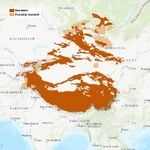 SnowLeopard distribution.jpg