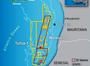 موقع حقل السلحفا احميم