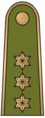 Kapitonas Lithuanian Land Force