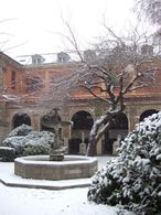 مجلس موريير