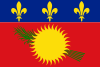 Flag of Guadeloupe (local) variant.svg