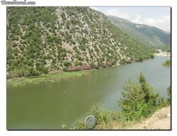 عيون السمك، نهر البارد، الضنية، لبنان.jpg