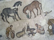 Shepherds with animals