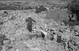 El-Ahwat - Samaria Israel (4.13).jpg