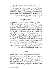 الصفحة التالية &larr;