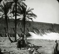 سد أسوان والنخيل والأهالي.