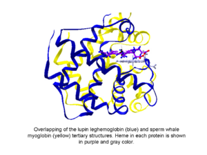 Overlaping figure.tif