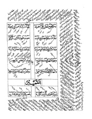 الصفحة التالية &larr;