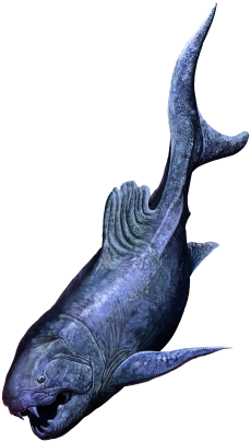 202010 Dunkleosteus telleri.svg