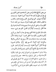 الصفحة التالية &larr;