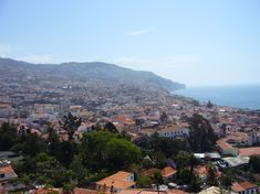 Funchal St. Clara Sé.JPG