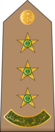 11.RSA-CAPT.svg