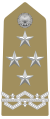 Generale (Italian Army)