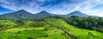 Panoramic image of a mountainous greenery
