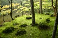 Woodland (Saihō-ji, Japan)