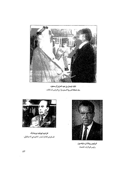 ملف:المعارك الحربية على الجبهة المصرية.pdf