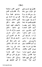 الصفحة التالية &larr;