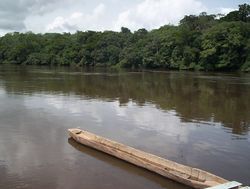 Dja River and pirogue.JPG