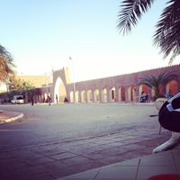 قصر رقان 2014.