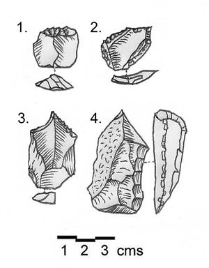 Shepherd Neolithic flint tools.jpg