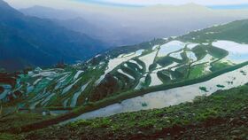 صورة معبرة عن الموضوع مديرية منبه