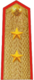 Vietnam People's Army Lieutenant General.png