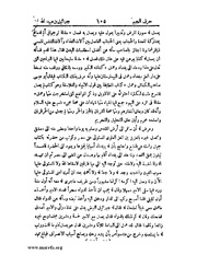 الصفحة التالية &larr;