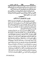 الصفحة التالية &larr;