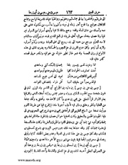 الصفحة التالية &larr;