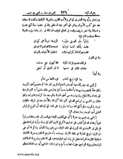 الصفحة التالية &larr;