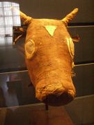 Tête d'une momie d'un Apis enterré à l'époque ptolémaïque